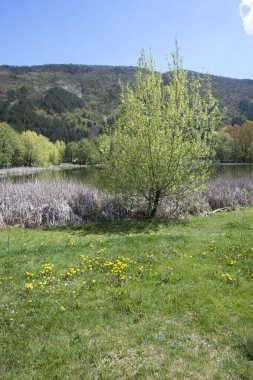 Pancharevo Gölü Bahar Manzarası, Sofya Şehir Bölgesi, Bulgaristan
