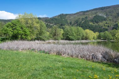Pancharevo Gölü Bahar Manzarası, Sofya Şehir Bölgesi, Bulgaristan