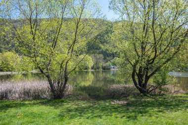 Pancharevo Gölü Bahar Manzarası, Sofya Şehir Bölgesi, Bulgaristan