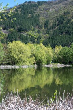Pancharevo Gölü Bahar Manzarası, Sofya Şehir Bölgesi, Bulgaristan