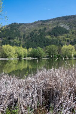Pancharevo Gölü Bahar Manzarası, Sofya Şehir Bölgesi, Bulgaristan