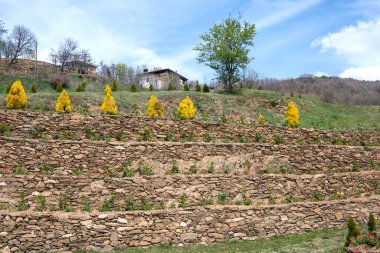 Bulgaristan 'ın Blagoevgrad Bölgesi, Ograzhden Dağı' ndaki Dolene Köyü Panoraması