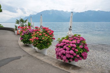 VEVEY, SWitzERLAND - 19 Haziran 2023 Vevey kasabasından Cenevre Gölü, Vaud Kantonu, İsviçre