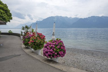 VEVEY, SWitzERLAND - 19 Haziran 2023 Vevey kasabasından Cenevre Gölü, Vaud Kantonu, İsviçre