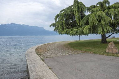 VEVEY, SWitzERLAND - 19 Haziran 2023 Vevey kasabasından Cenevre Gölü, Vaud Kantonu, İsviçre