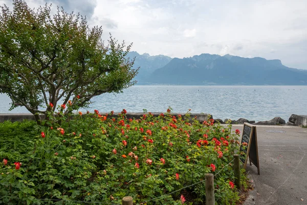 Vevey Švýcarsko Června 2023 Letní Krajina Města Vevey Ženevskému Jezeru — Stock fotografie