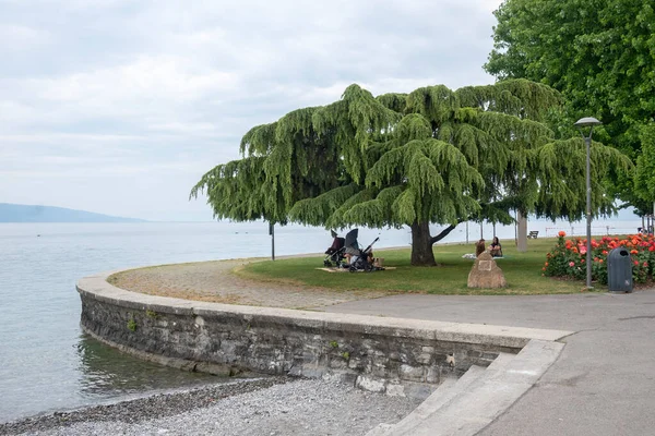 Vevey Switzerland June 2023 Summer Landscape Town Vevey Lake Geneva — стокове фото