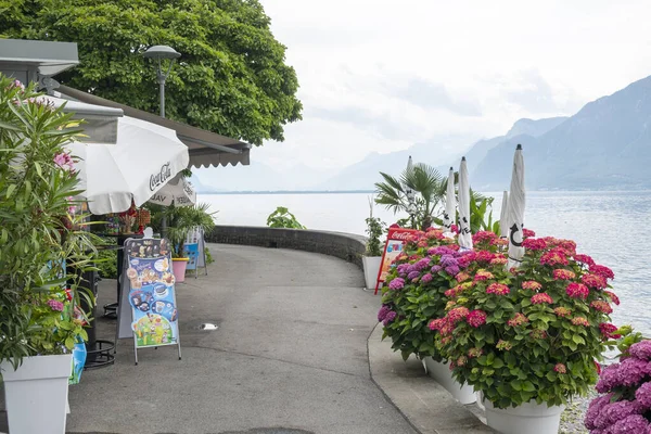 Vevey Suiza Junio 2023 Paisaje Verano Ciudad Vevey Lago Lemán —  Fotos de Stock