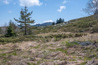 Bulgaristan 'ın Sofya Şehir Bölgesi Vitosha Dağı' ndaki Konyarnika bölgesinin bahar manzarası