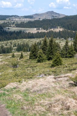 Bulgaristan 'ın Sofya Şehir Bölgesi Vitosha Dağı' ndaki Konyarnika bölgesinin bahar manzarası