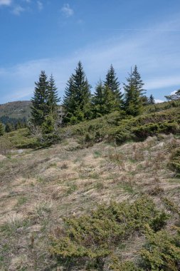 Bulgaristan 'ın Sofya Şehir Bölgesi Vitosha Dağı' ndaki Konyarnika bölgesinin bahar manzarası