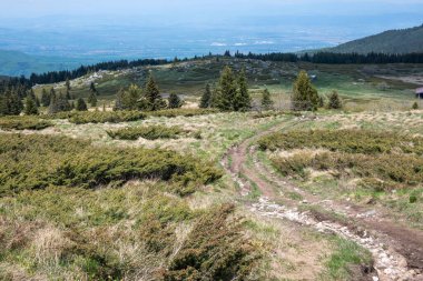 Bulgaristan 'ın Sofya Şehir Bölgesi Vitosha Dağı' ndaki Konyarnika bölgesinin bahar manzarası