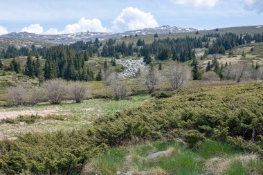 Bulgaristan 'ın Sofya Şehir Bölgesi Vitosha Dağı' ndaki Konyarnika bölgesinin bahar manzarası