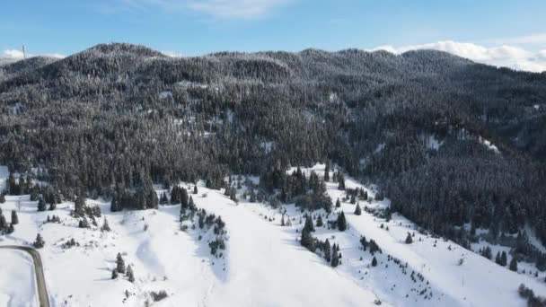 Vista Aérea Invierno Las Montañas Rhodope Alrededor Aldea Stoykite Pamporovo — Vídeo de stock