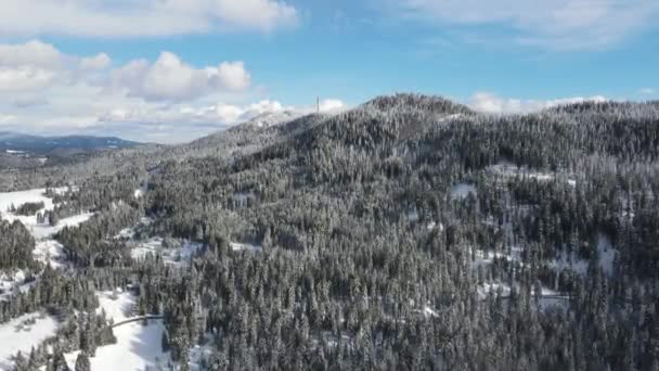 Aerial Winter View Rhodope Mountains Village Stoykite Pamporovo Smolyan Region — Stok video