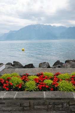 VEVEY, SWitzERLAND - 19 Haziran 2023: Vevey Kantonu, Vaud, İsviçre
