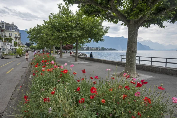 Vevey Švýcarsko Června 2023 Letní Panorama Nábřeží Města Vevey Kanton — Stock fotografie
