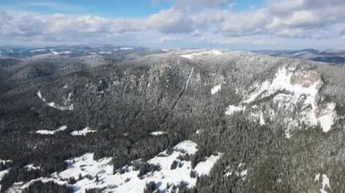 Aerial winter view of Rhodope Mountains around resort of Pamporovo, Smolyan Region, Bulgaria