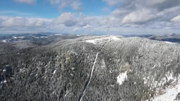 Aerial Winter View Rhodope Mountains Resort Pamporovo Smolyan Region Bulgaria — ストック動画