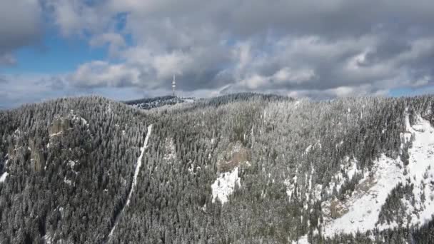 Vista Aerea Invernale Delle Montagne Rodopi Intorno Alla Località Pamporovo — Video Stock