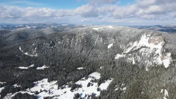 Aerial Winter View Rhodope Mountains Resort Pamporovo Smolyan Region Bulgaria — Video
