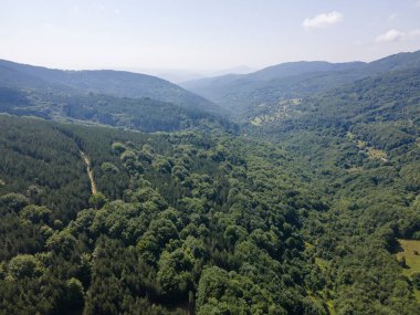 Bulgaristan 'ın Pernik Bölgesi, Kamenititsa zirvesi yakınlarındaki Erul Dağı' nın İnanılmaz Yaz Manzarası