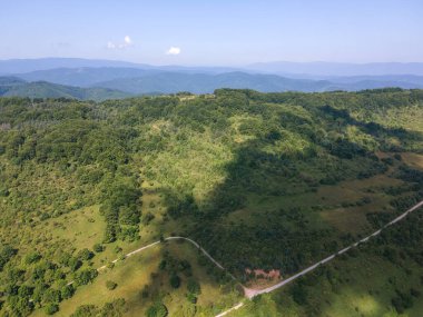 Bulgaristan 'ın Pernik Bölgesi, Kamenititsa zirvesi yakınlarındaki Erul Dağı' nın İnanılmaz Yaz Manzarası