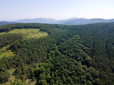 Bulgaristan 'ın Pernik Bölgesi, Kamenititsa zirvesi yakınlarındaki Erul Dağı' nın İnanılmaz Yaz Manzarası