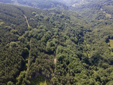 Bulgaristan 'ın Pernik Bölgesi, Kamenititsa zirvesi yakınlarındaki Erul Dağı' nın İnanılmaz Yaz Manzarası