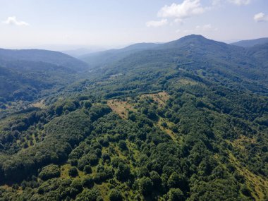 Bulgaristan 'ın Pernik Bölgesi, Kamenititsa zirvesi yakınlarındaki Erul Dağı' nın İnanılmaz Yaz Manzarası