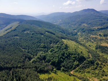 Bulgaristan 'ın Pernik Bölgesi, Kamenititsa zirvesi yakınlarındaki Erul Dağı' nın İnanılmaz Yaz Manzarası