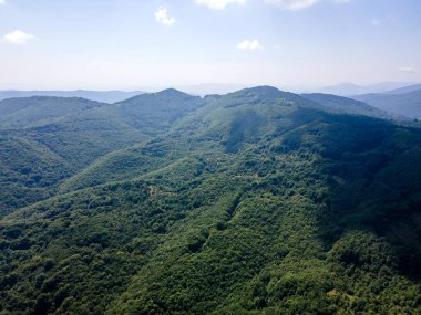 Bulgaristan 'ın Pernik Bölgesi, Kamenititsa zirvesi yakınlarındaki Erul Dağı' nın İnanılmaz Yaz Manzarası