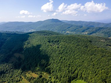 Bulgaristan 'ın Pernik Bölgesi, Kamenititsa zirvesi yakınlarındaki Erul Dağı' nın İnanılmaz Yaz Manzarası