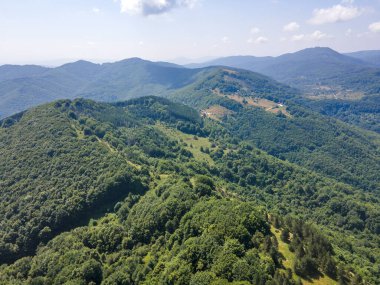 Bulgaristan 'ın Pernik Bölgesi, Kamenititsa zirvesi yakınlarındaki Erul Dağı' nın İnanılmaz Yaz Manzarası