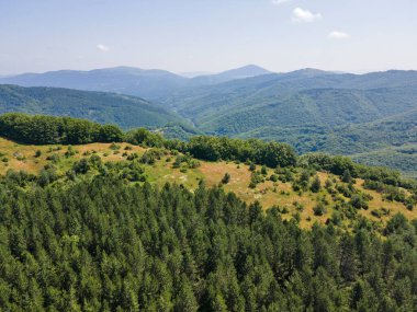 Bulgaristan 'ın Pernik Bölgesi, Kamenititsa zirvesi yakınlarındaki Erul Dağı' nın İnanılmaz Yaz Manzarası