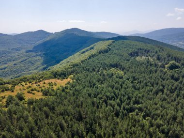 Bulgaristan 'ın Pernik Bölgesi, Kamenititsa zirvesi yakınlarındaki Erul Dağı' nın İnanılmaz Yaz Manzarası