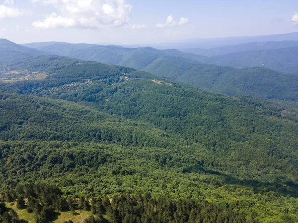 Bulgaristan 'ın Pernik Bölgesi, Kamenititsa zirvesi yakınlarındaki Erul Dağı' nın İnanılmaz Yaz Manzarası