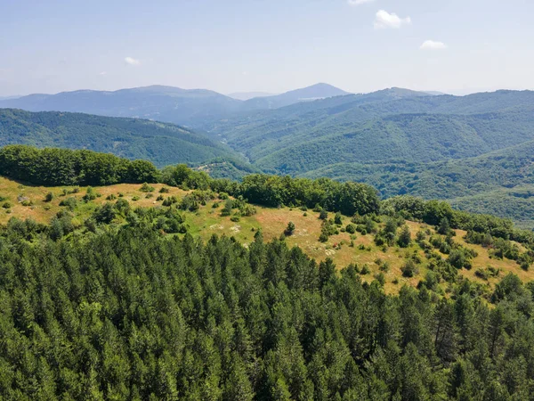 保加利亚Pernik地区Kamenititsa峰附近的Erul山夏季奇景 — 图库照片