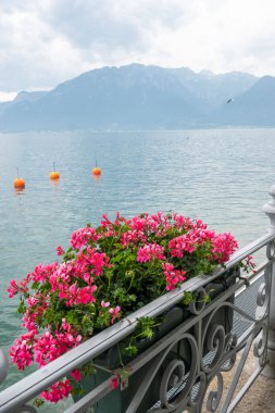 Vevey şehrinden Cenevre Gölü 'ne, Vaud Kantonu, İsviçre