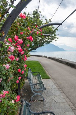 Vevey şehrinden Cenevre Gölü 'ne, Vaud Kantonu, İsviçre