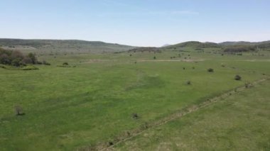 Bulgaristan 'ın Sofya bölgesindeki Godech kasabası yakınlarındaki kırsal arazinin bahar havası manzarası