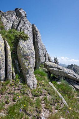 Bulgaristan 'ın Kalin zirvesi yakınlarındaki Rila Dağı' nın İnanılmaz Yaz Manzarası