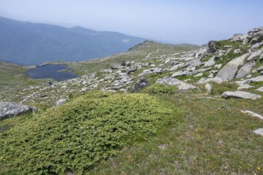 Bulgaristan 'ın Kalin zirvesi yakınlarındaki Rila Dağı' nın İnanılmaz Yaz Manzarası