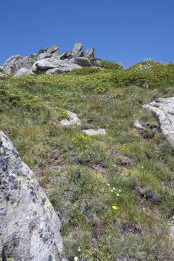 Bulgaristan 'ın Kalin zirvesi yakınlarındaki Rila Dağı' nın İnanılmaz Yaz Manzarası