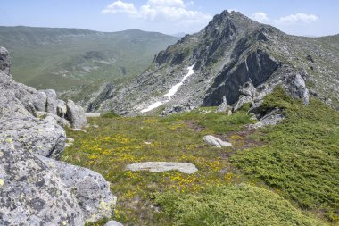 Bulgaristan 'ın Kalin zirvesi yakınlarındaki Rila Dağı' nın İnanılmaz Yaz Manzarası
