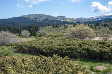 Bulgaristan 'ın Sofya Şehir Bölgesi Vitosha Dağı' ndaki Konyarnika bölgesinin bahar manzarası