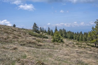 Bulgaristan 'ın Sofya Şehir Bölgesi Vitosha Dağı' ndaki Konyarnika bölgesinin bahar manzarası