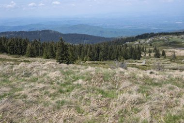 Bulgaristan 'ın Sofya Şehir Bölgesi Vitosha Dağı' ndaki Konyarnika bölgesinin bahar manzarası