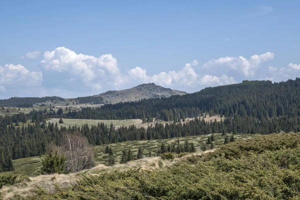 Bulgaristan 'ın Sofya Şehir Bölgesi Vitosha Dağı' ndaki Konyarnika bölgesinin bahar manzarası