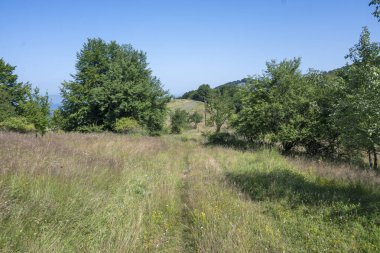 Bulgaristan 'ın Pernik Bölgesi, Kamenititsa zirvesi yakınlarındaki Erul dağının yaz manzarası